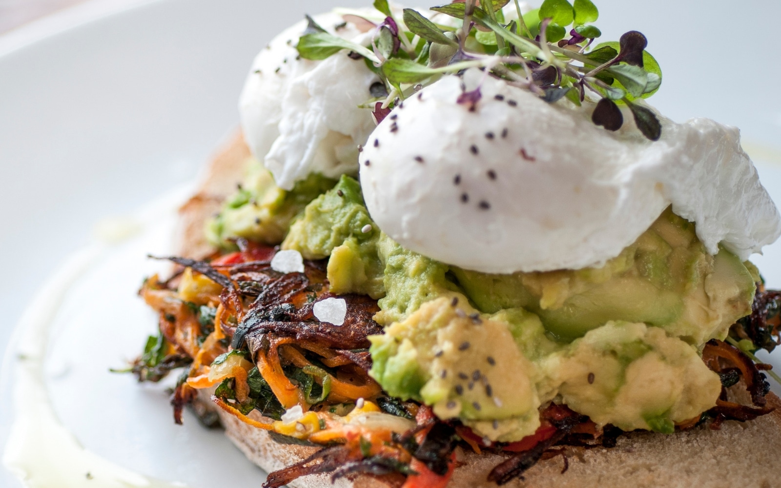 Best brunch around Brandon FL, avocado toast with poached eggs and microgreens on a white plate
