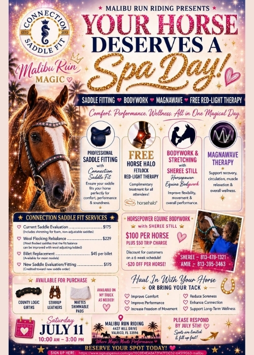 Saddle Fitting and Equine Wellness Day at Malibu Run in Valrico Florida