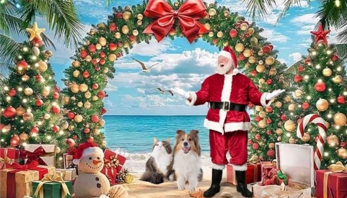 Santa and Pet Pictures event at Dog Gone Holistic in Brandon Florida
